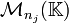 \mathcal{M}_{n_j}(\mathbb{K})