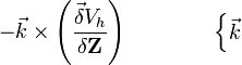  - \vec k \times \left ( \frac {\vec \delta V_h} {\delta \mathbf Z} \right ) \qquad \qquad  \begin{cases} \vec k \end{cases} 