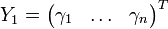 Y_1=\begin{pmatrix}\gamma_1&\ldots&\gamma_n\end{pmatrix}^T