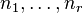 n_1,\ldots, n_r