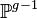 \mathbb P^{g-1}