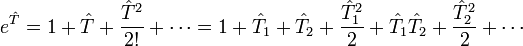  e^{\hat{T}} = 1 + \hat{T} + \frac{\hat{T}^2}{2!} + \cdots = 1 + \hat{T}_1 + \hat{T}_2 + \frac{\hat{T}_1^2}{2} + \hat{T}_1\hat{T}_2 + \frac{\hat{T}_2^2}{2} + \cdots 