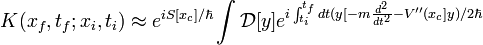 K(x_{f},t_{f};x_{i},t_{i})\approx e^{i S[x_{c}]/ \hbar} \int \mathcal{D}[y] e^{i \int_{t_{i}}^{t_{f}}dt (y[-m \frac{d^{2}}{dt^{2}} - V''(x_{c}] y)/2\hbar} 