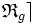  \mathfrak{R}_g \rceil 