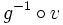 g^{-1} \circ v