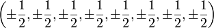 \left(\pm\frac12, \pm\frac12, \pm\frac12, \pm\frac12, \pm\frac12, \pm\frac12, \pm\frac12, \pm\frac12\right)\,