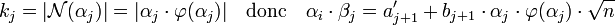 k_j = |\mathcal N(\alpha_j)| = |\alpha_j\cdot \varphi (\alpha_j)| \quad\text{donc}\quad \alpha_i\cdot \beta_j = a'_{j+1} + b_{j+1}\cdot \alpha_j\cdot \varphi (\alpha_j)\cdot \sqrt n \;