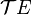 \mathcal{T} E