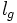 l_g\,\!