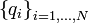 \left\{q_i \right\}_{i=1,...,N} 