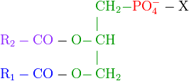    \begin{array}{rl} &\mathrm{{\color{OliveGreen}CH_2-}{\color{red}PO_4^-}-X}\\ &{\color{OliveGreen}|}\\ \mathrm{{\color{Purple}R_2-CO}-{\color{OliveGreen}O-}}\!\!\!\!&\mathrm{{\color{OliveGreen}CH}}\\ &{\color{OliveGreen}|}\\ \mathrm{{\color{Blue}R_1-CO}-{\color{OliveGreen}O-}}\!\!\!\!&\mathrm{{\color{OliveGreen}CH_2}}\\   \end{array} 