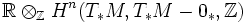 \R \otimes_{\Z} H^n(T_*M,T_*M-0_*,\Z)