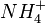 NH_{4}^+