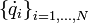 \left\{ \dot{q}_i \right\}_{i=1,...,N} 