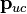 \mathbf{p}_{uc}