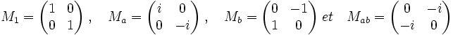 M_1 = \begin{pmatrix} 1 & 0 \\ 0 & 1 \end{pmatrix}\; ,\quad M_a = \begin{pmatrix} i & 0 \\ 0 & -i \end{pmatrix} \; , \quad M_b = \begin{pmatrix} 0 & -1 \\ 1 & 0 \end{pmatrix}\; et \quad M_{ab} = \begin{pmatrix} 0 & -i \\ -i & 0 \end{pmatrix}