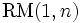 \mathrm{RM}(1,n)~