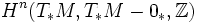 H^n(T_*M,T_*M-0_*,\Z)