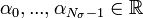 \alpha_0,...,\alpha_{N_{\sigma}-1}\in\mathbb{R}