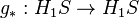 g_* : H_1 S \to H_1 S