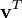 \mathbf{v}^T