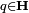 \scriptstyle q \in \mathbf H