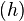 \left(h \right)