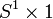 S^1\times {1}