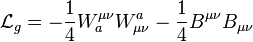 \mathcal{L}_g = -\frac{1}{4}W_a^{\mu\nu}W_{\mu\nu}^a - \frac{1}{4}B^{\mu\nu}B_{\mu\nu}