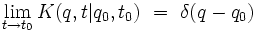 \lim_{t \to t_0} K(q,t|q_0,t_0) \ = \ \delta(q-q_0)