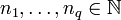 n_1,\ldots,n_q\in\N