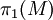 \,\pi_1(M)