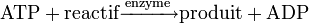 \mathrm{ATP + reactif \xrightarrow{enzyme} produit + ADP}