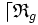  \lceil \mathfrak{R}_g 