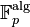 \mathbb{F}_p^{\mathrm{alg}}