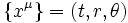 \left\{x^\mu\right\}=\left(t,r,\theta\right)