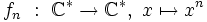 f_n \ : \ \mathbb{C}^* \rightarrow \mathbb{C}^*,\ x \mapsto x^n 