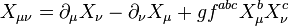 X_{\mu\nu}=\partial_\mu X_\nu - \partial_\nu X_\mu + g f^{abc}X^{b}_{\mu}X^{c}_{\nu}