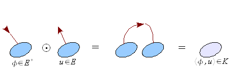 Bacterial-tensor-brackets.png