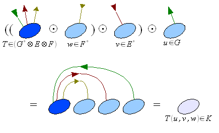 Bacterial-tensor-contracted-products-sequence.png
