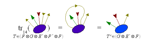 Bacterial-tensor-contraction.png