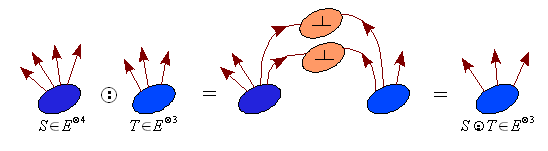 Bacterial-tensor-euclidian-twice-contracted-product.png