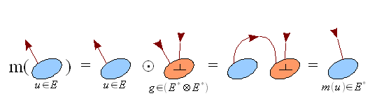 Bacterial-tensor-isomorphism.png