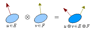 Bacterial-tensor-product.png