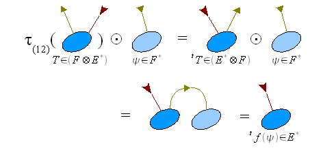 Bacterial-tensor-transpose.png