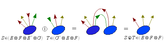 Bacterial-tensor-twice-contracted-product.png