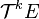 \mathcal{T}^k E
