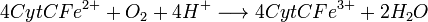 4CytC Fe^{2+} + O_2 + 4H^+ \longrightarrow 4CytC Fe^{3+} + 2H_2O