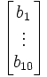 \begin{bmatrix} b_1 \\ \vdots \\ b_{10}\end{bmatrix}