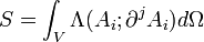 S = \int_V \Lambda(A_i;\partial^jA_i)d\Omega